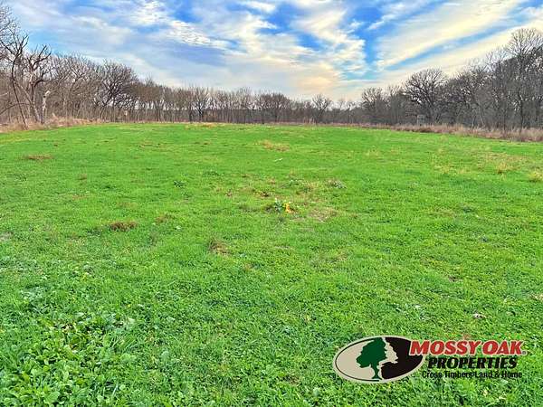 14.5 Acres of Recreational Land for Sale in Italy, Texas