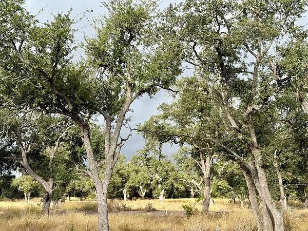 4.76 Acres of Land for Sale in Harper, Texas