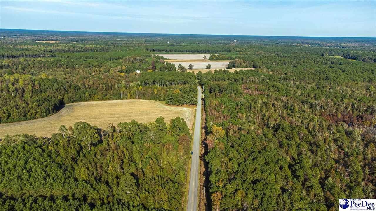 6.2 Acres of Land for Sale in Cades, South Carolina
