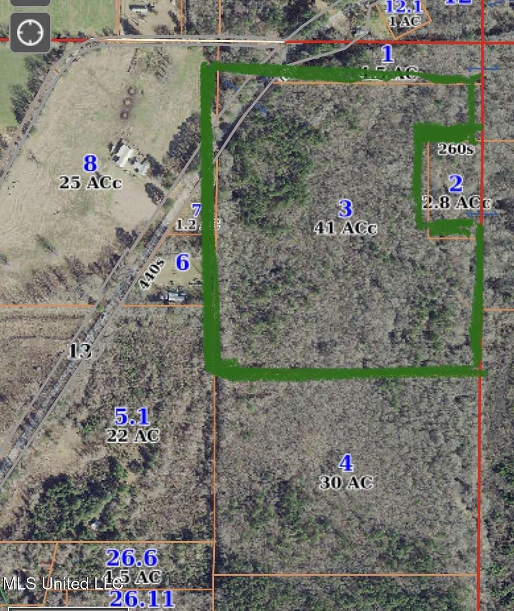 41 Acres of Land for Sale in Lena, Mississippi