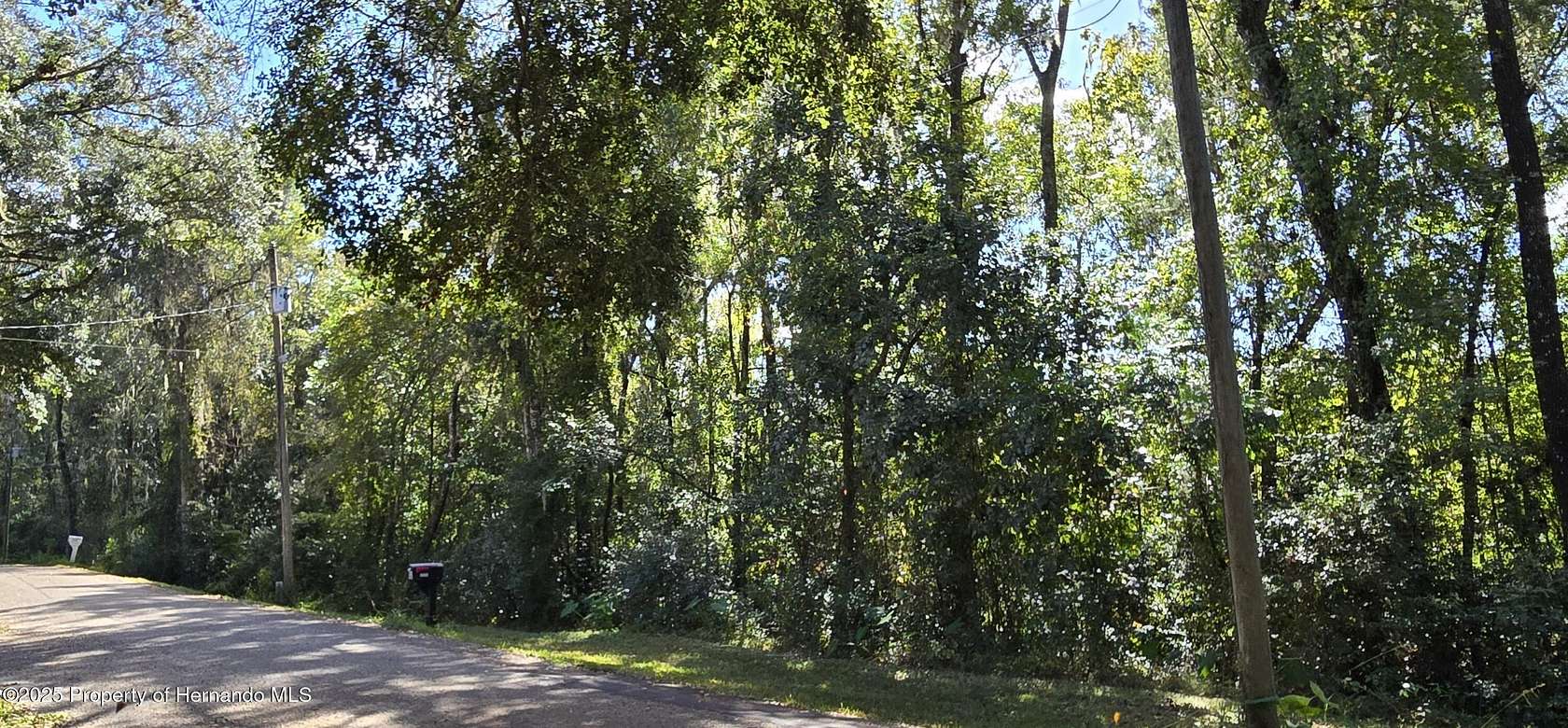 0.3 Acres of Residential Land for Sale in Brooksville, Florida