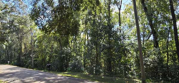 0.3 Acres of Residential Land for Sale in Brooksville, Florida