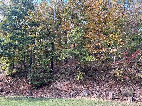 2 Acres of Residential Land with Home for Sale in Piedmont, Missouri