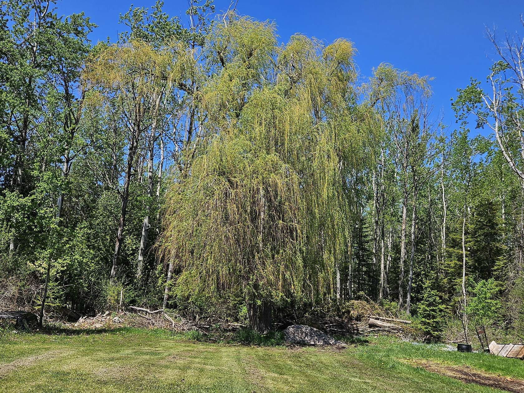 0.15 Acres of Residential Land for Sale in Rogers City, Michigan