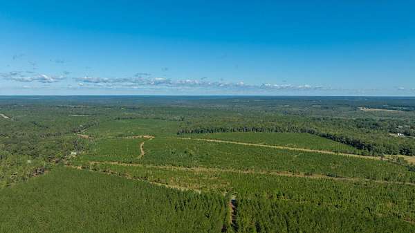 154 Acres of Recreational Land & Farm for Auction in Richland, Georgia