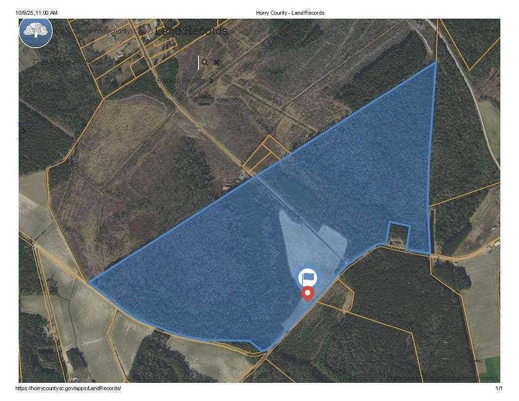 179 Acres of Land for Sale in Nichols, South Carolina