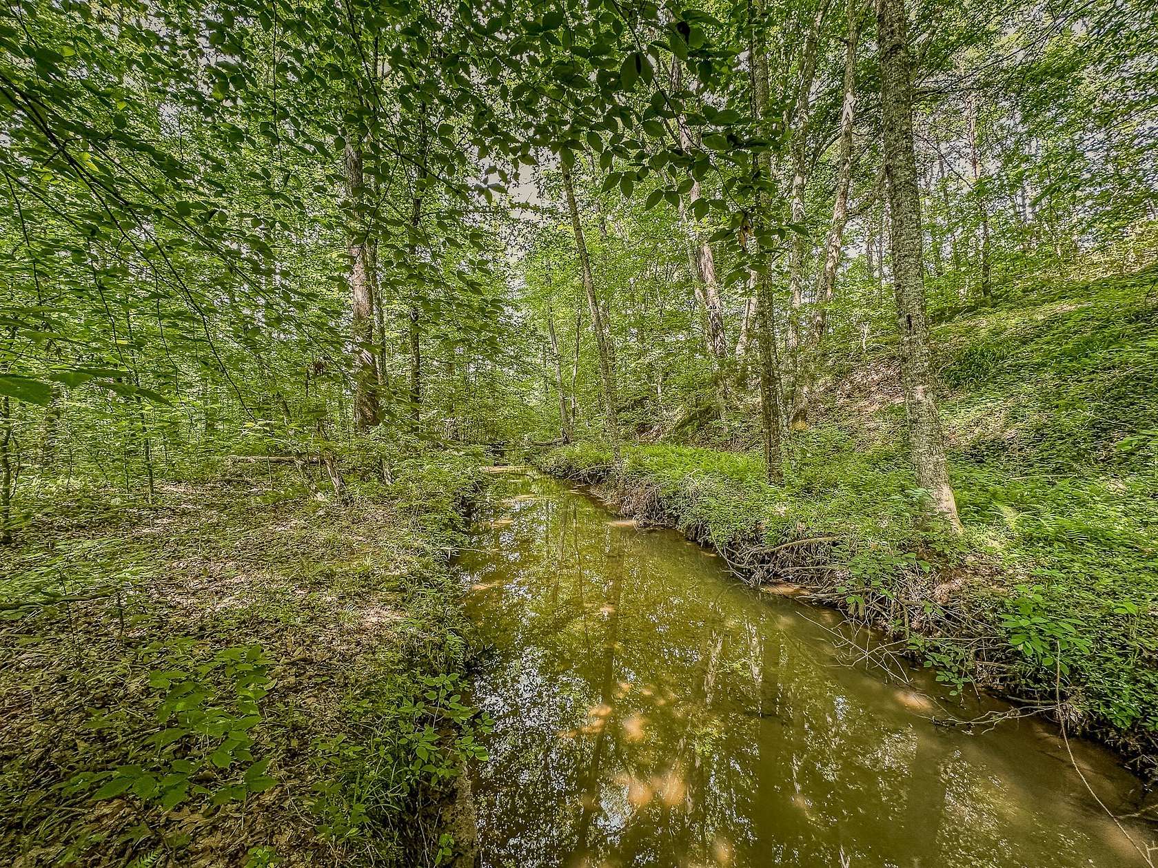 18.7 Acres of Recreational Land for Sale in London, Kentucky