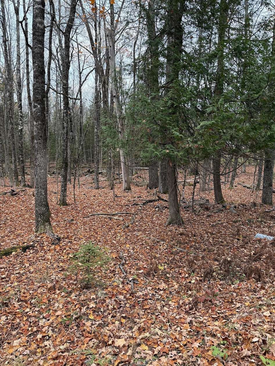 1.38 Acres of Residential Land for Sale in Dexter, Maine