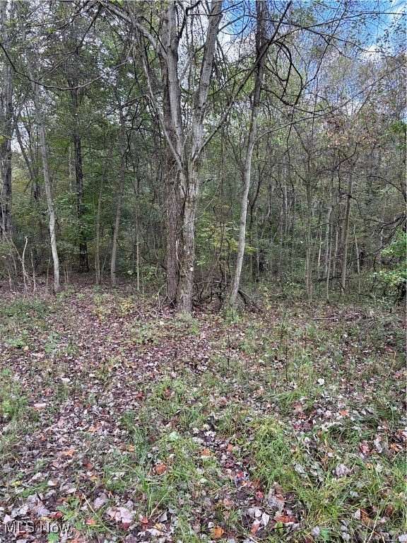 10 Acres of Land for Sale in Lisbon, Ohio