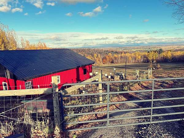 8.8 Acres of Land for Sale in Irasburg, Vermont