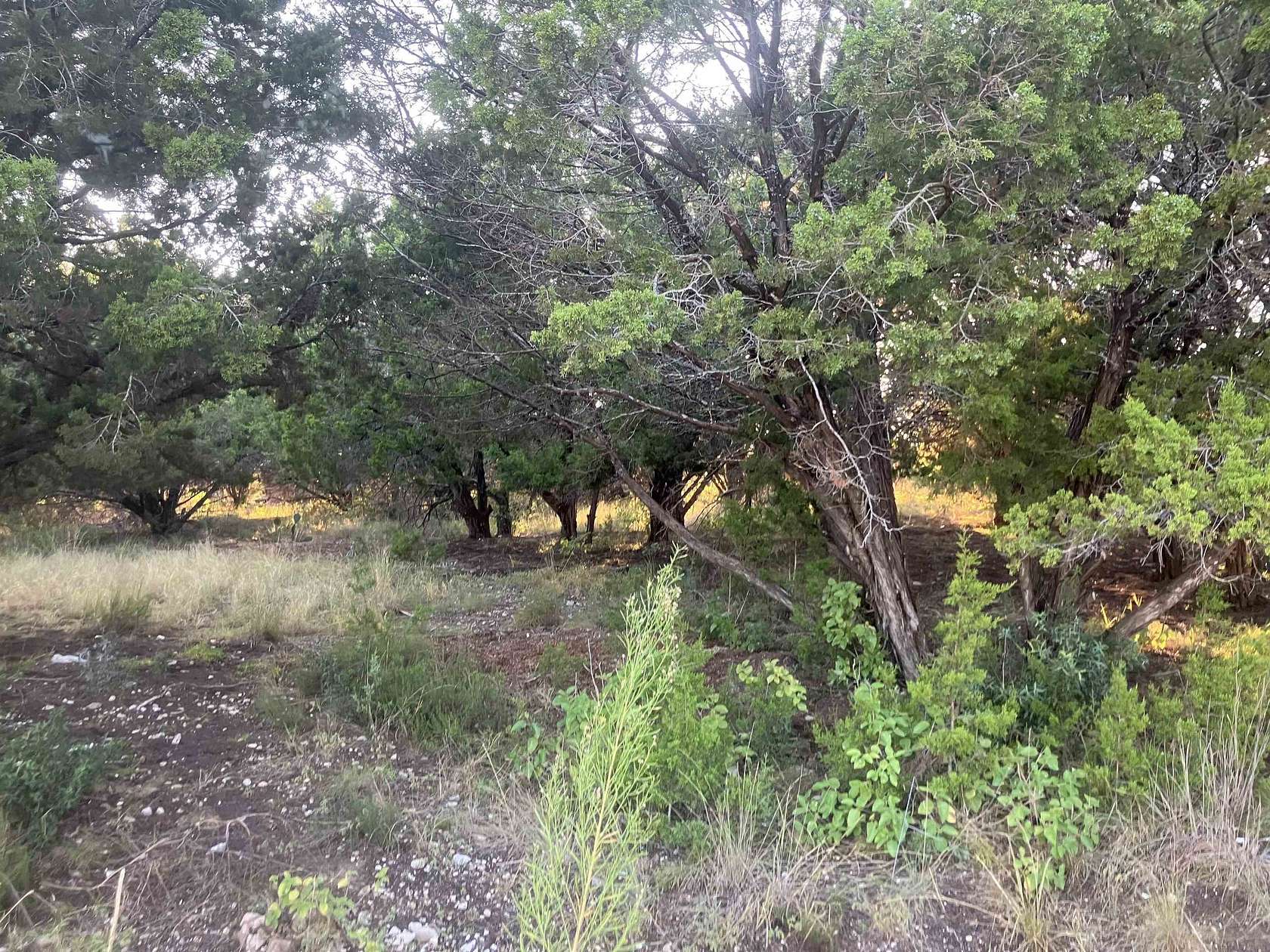 0.23 Acres of Residential Land for Sale in Lago Vista, Texas