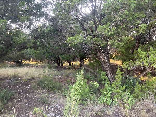 0.23 Acres of Residential Land for Sale in Lago Vista, Texas