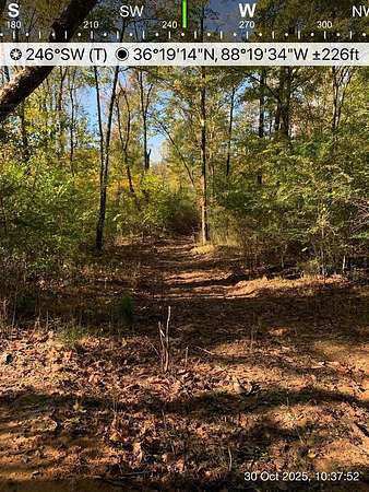 31.3 Acres of Land for Sale in Paris, Tennessee