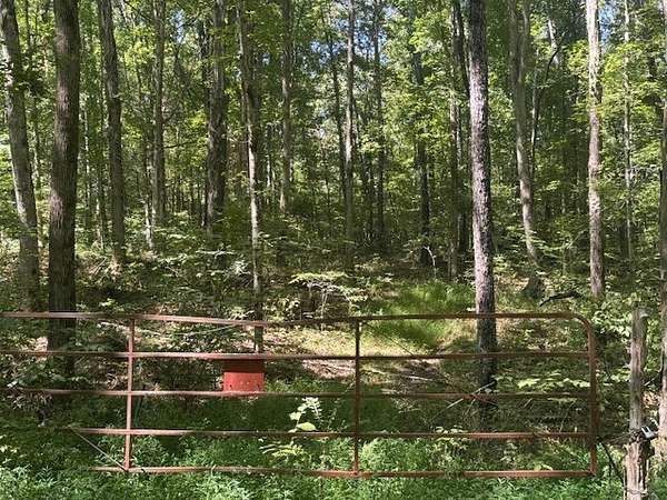 65.8 Acres of Land for Auction in Bon Aqua, Tennessee