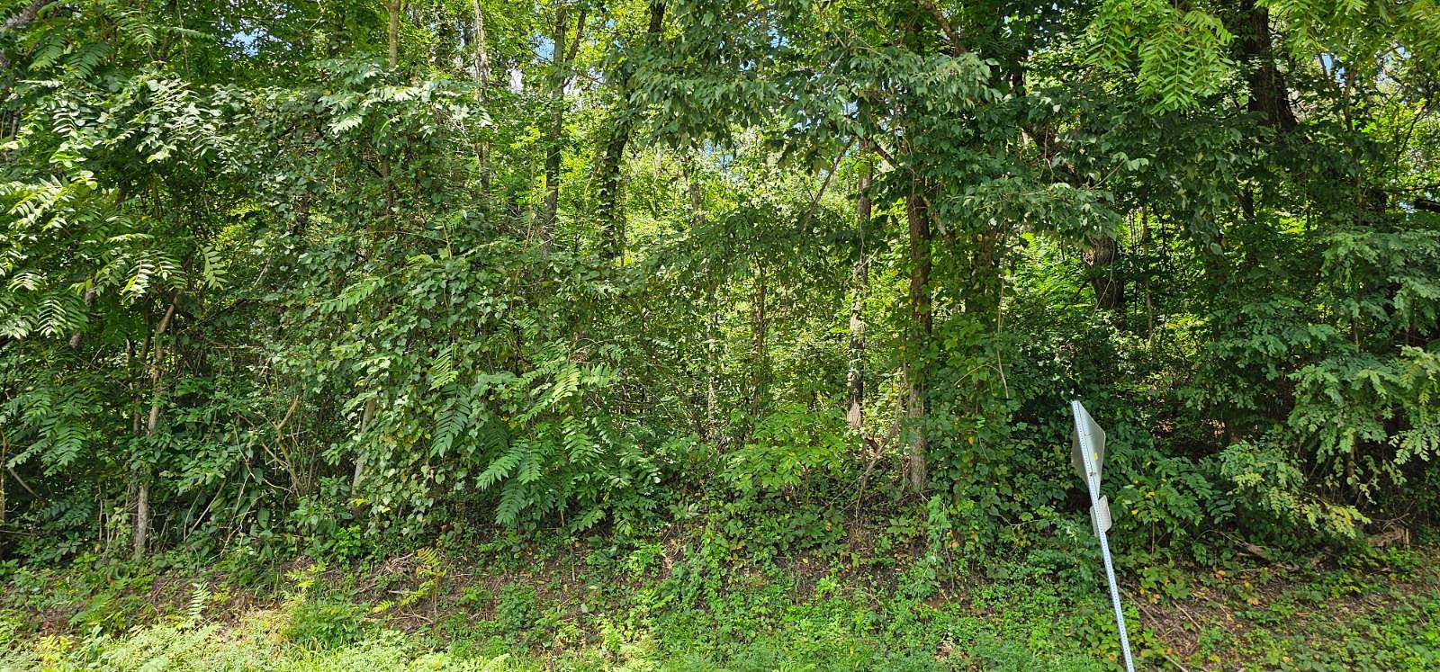 0.2 Acres of Residential Land for Sale in Abingdon, Virginia