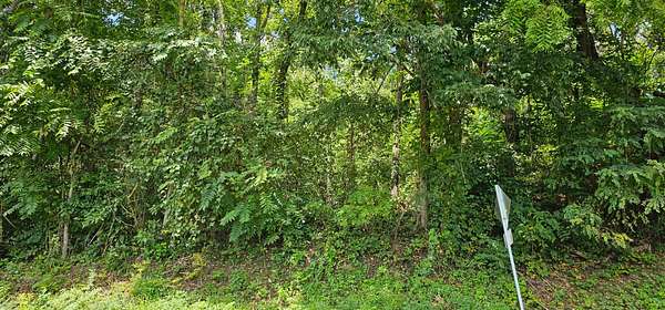 0.2 Acres of Residential Land for Sale in Abingdon, Virginia