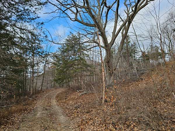 38 Acres of Recreational Land for Sale in Stoddard, Wisconsin