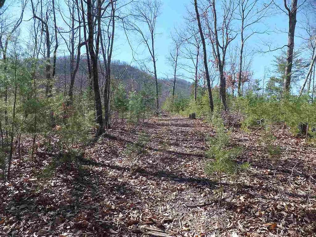 1.44 Acres of Residential Land for Sale in Newport, Tennessee