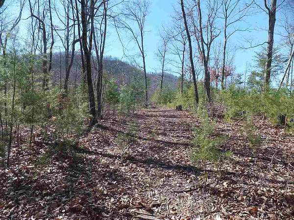 1.44 Acres of Residential Land for Sale in Newport, Tennessee