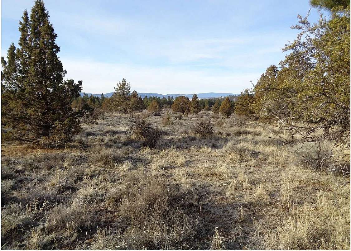 10 Acres of Residential Land for Sale in Beatty, Oregon
