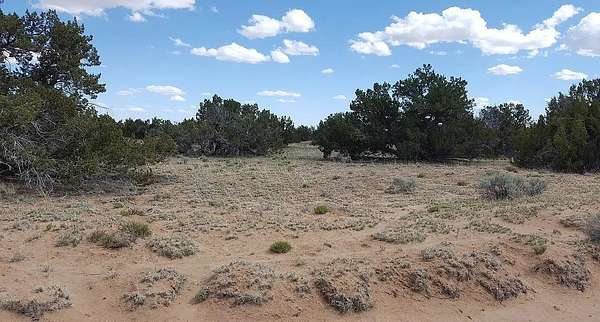 19.7 Acres of Land for Sale in Chambers, Arizona