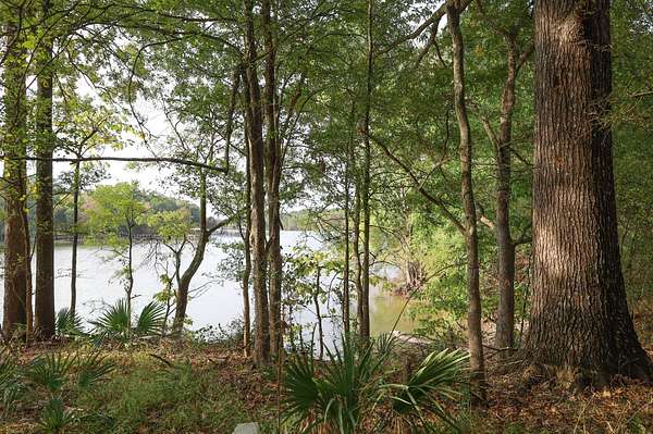 17 Acres of Recreational Land for Sale in Columbia, Louisiana