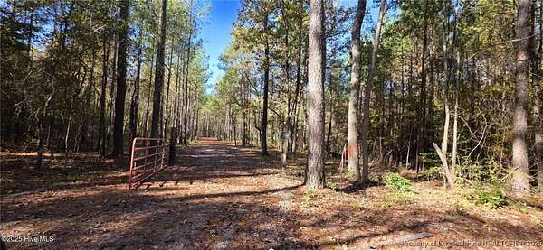 10 Acres of Land for Sale in Cameron, North Carolina