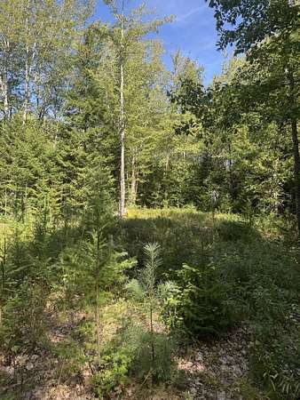 2.9 Acres of Residential Land for Sale in Harrington, Maine