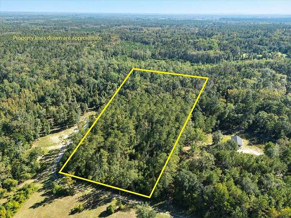 5 Acres of Residential Land for Sale in Lamont, Florida