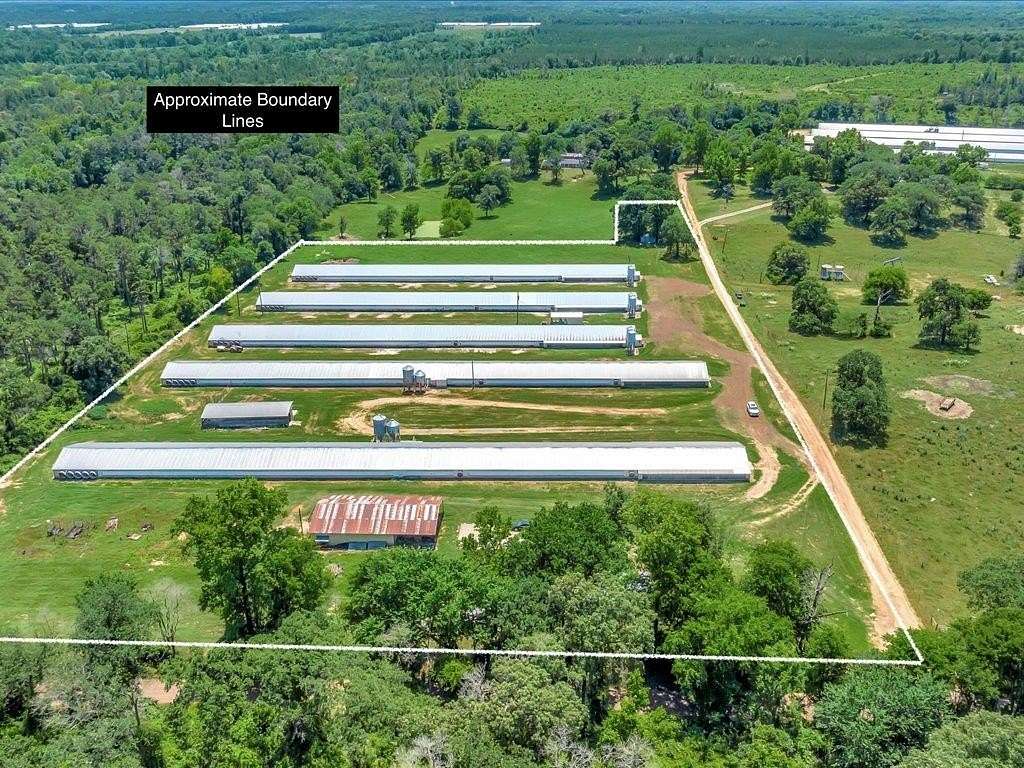 11 Acres of Land for Sale in Garrison, Texas