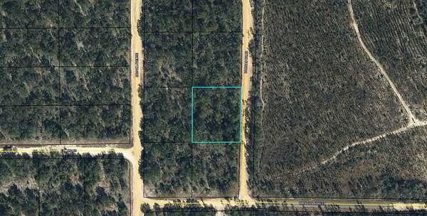 1 Acre of Residential Land for Sale in Marianna, Florida