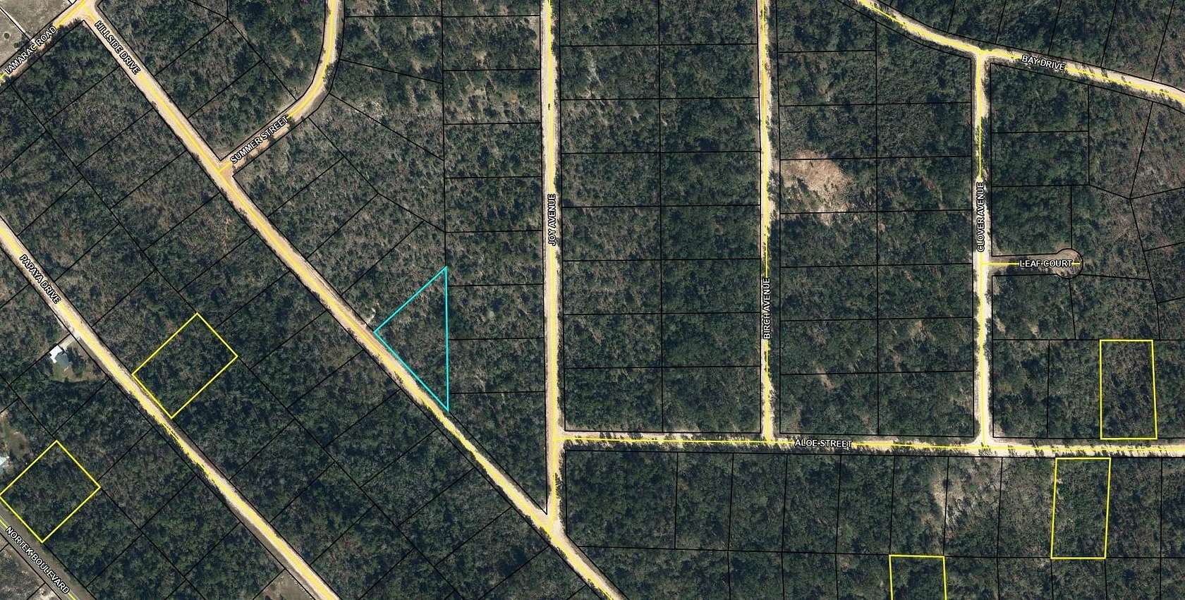 1 Acre of Residential Land for Sale in Marianna, Florida