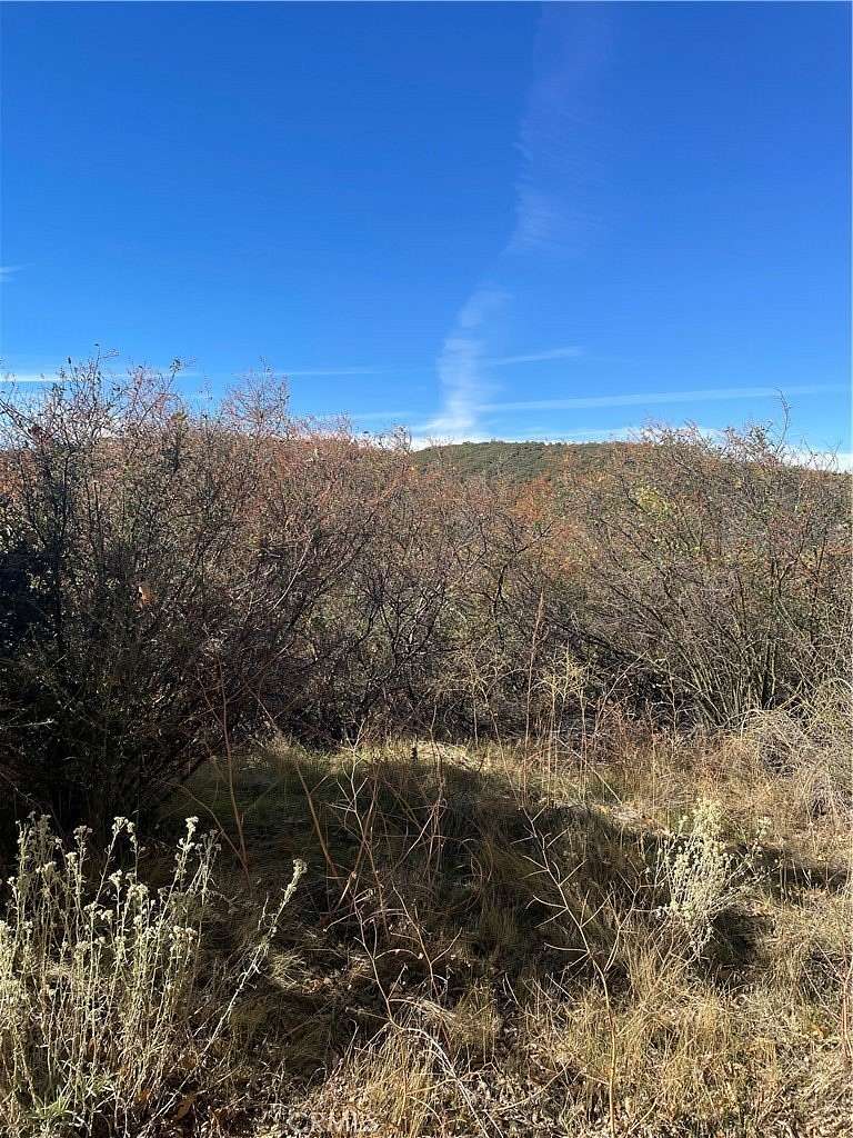 0.12 Acres of Land for Sale in Cedar Glen, California