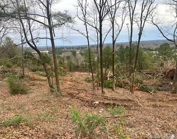 0.44 Acres of Residential Land for Sale in Conway, Arkansas