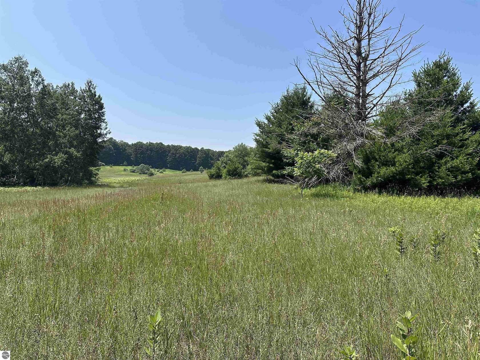 7.35 Acres of Residential Land for Sale in Maple City, Michigan