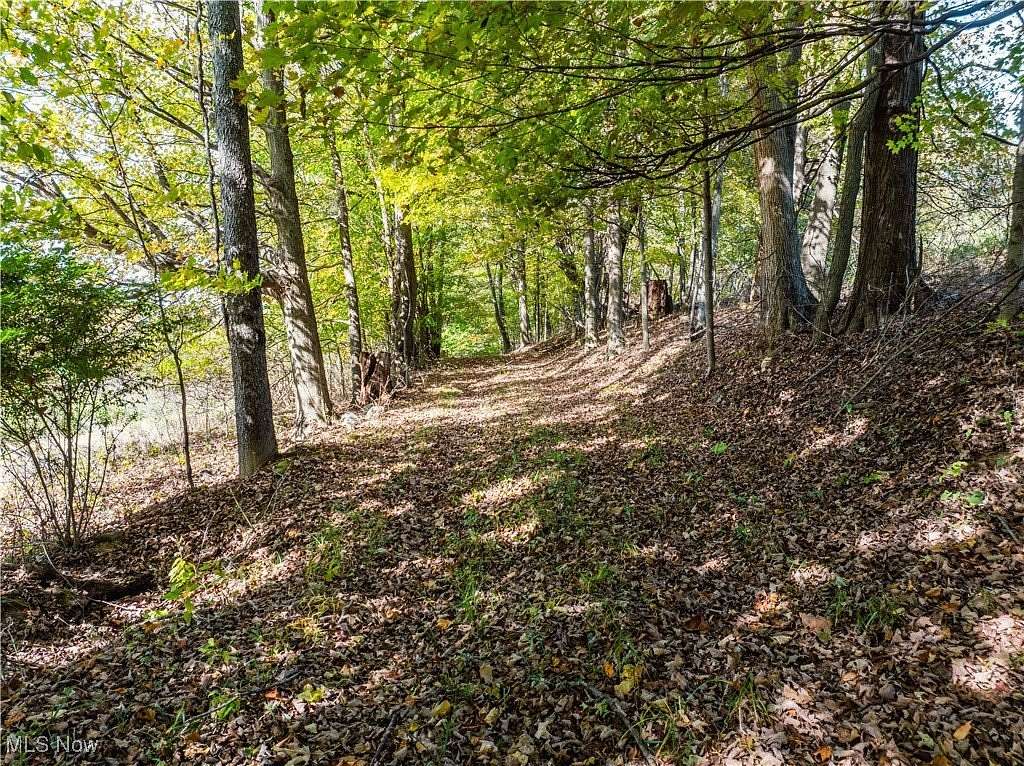 94.4 Acres of Land with Home for Auction in Lucas, Ohio