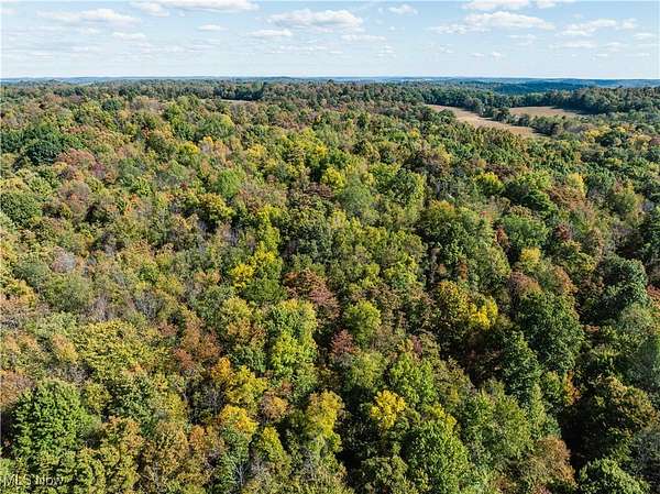 46.4 Acres of Recreational Land & Farm for Auction in Lucas, Ohio