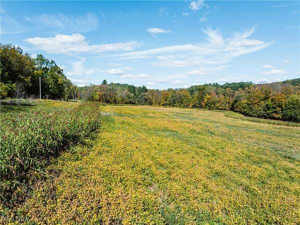 20.5 Acres of Recreational Land & Farm for Auction in Lucas, Ohio