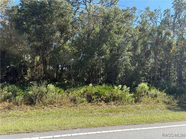 0.69 Acres of Land for Sale in Crystal River, Florida