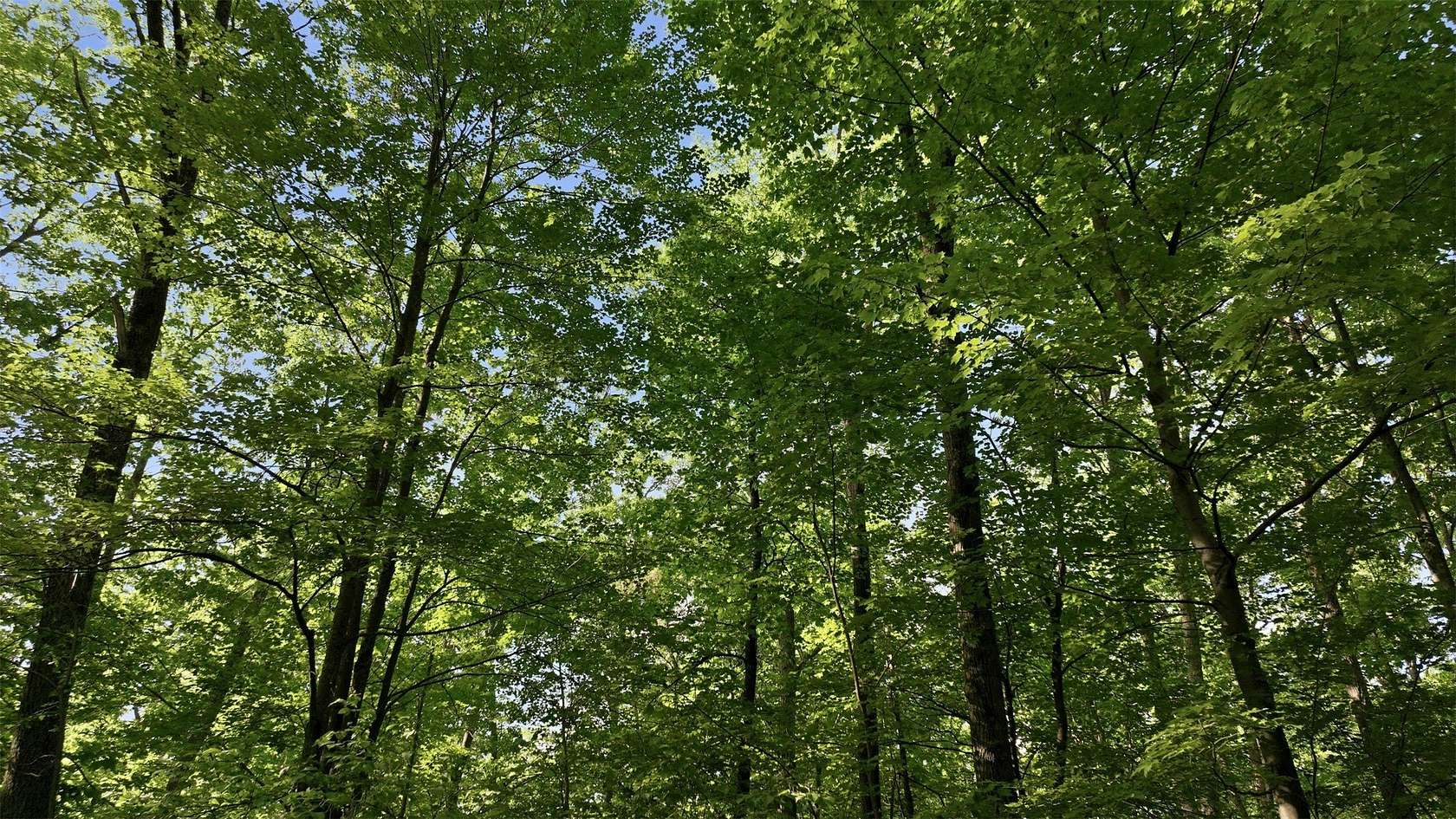 2.83 Acres of Residential Land for Sale in Hayward, Wisconsin