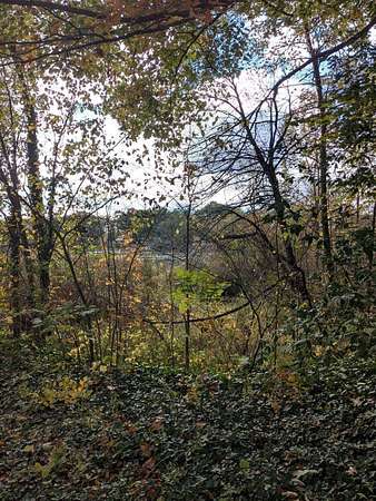 0.43 Acres of Residential Land for Sale in Constantine, Michigan