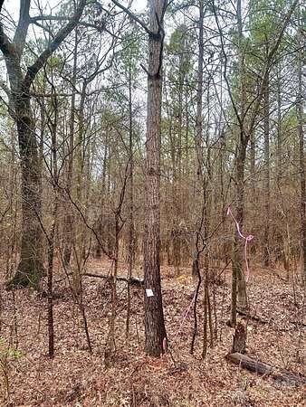 5.84 Acres of Land for Sale in Chester, South Carolina