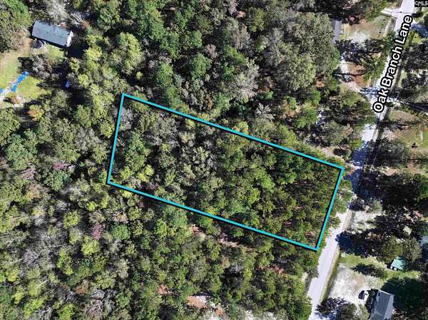 1.34 Acres of Residential Land for Sale in Elgin, South Carolina