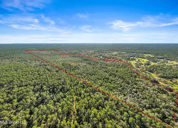 115 Acres of Recreational Land for Sale in Saucier, Mississippi