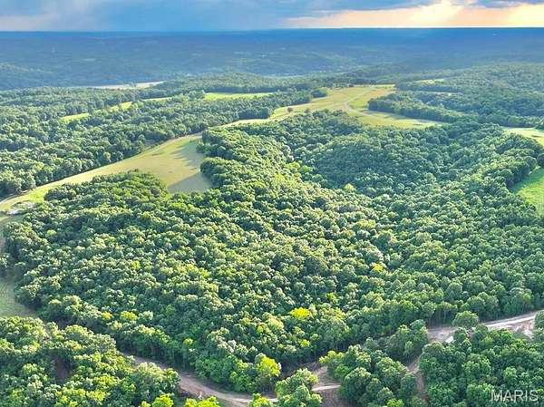 71.4 Acres of Recreational Land for Sale in Cullen Township, Missouri