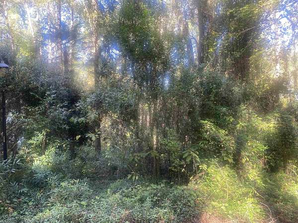 0.44 Acres of Residential Land for Sale in Tallahassee, Florida
