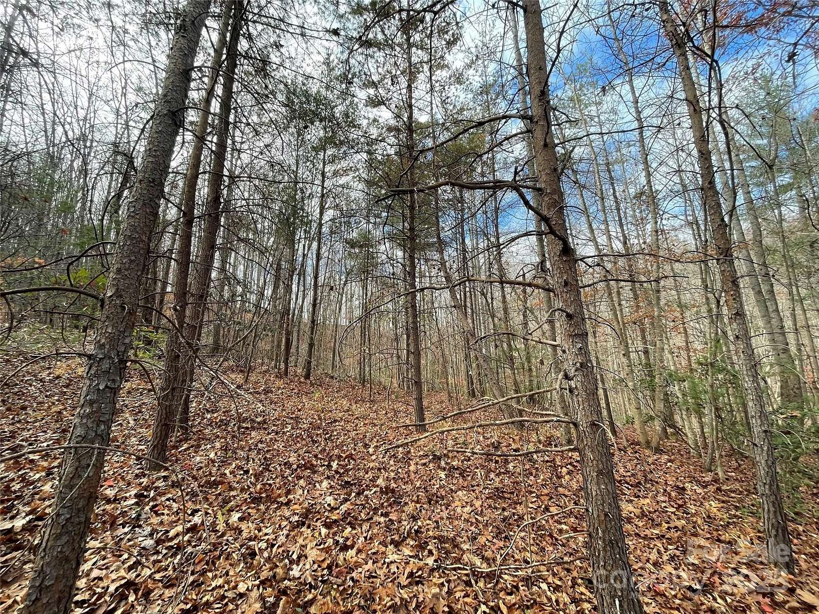 20.7 Acres of Recreational Land for Sale in Lenoir, North Carolina