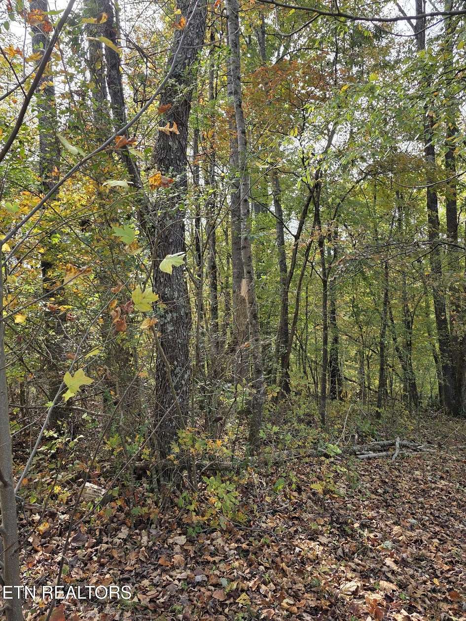 1.53 Acres of Residential Land for Sale in Mascot, Tennessee