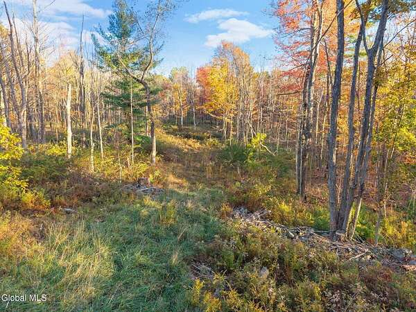 16.5 Acres of Land for Sale in Grafton, New York