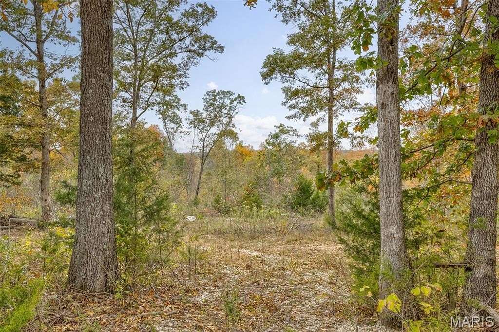 11.1 Acres of Land for Sale in Cadet, Missouri